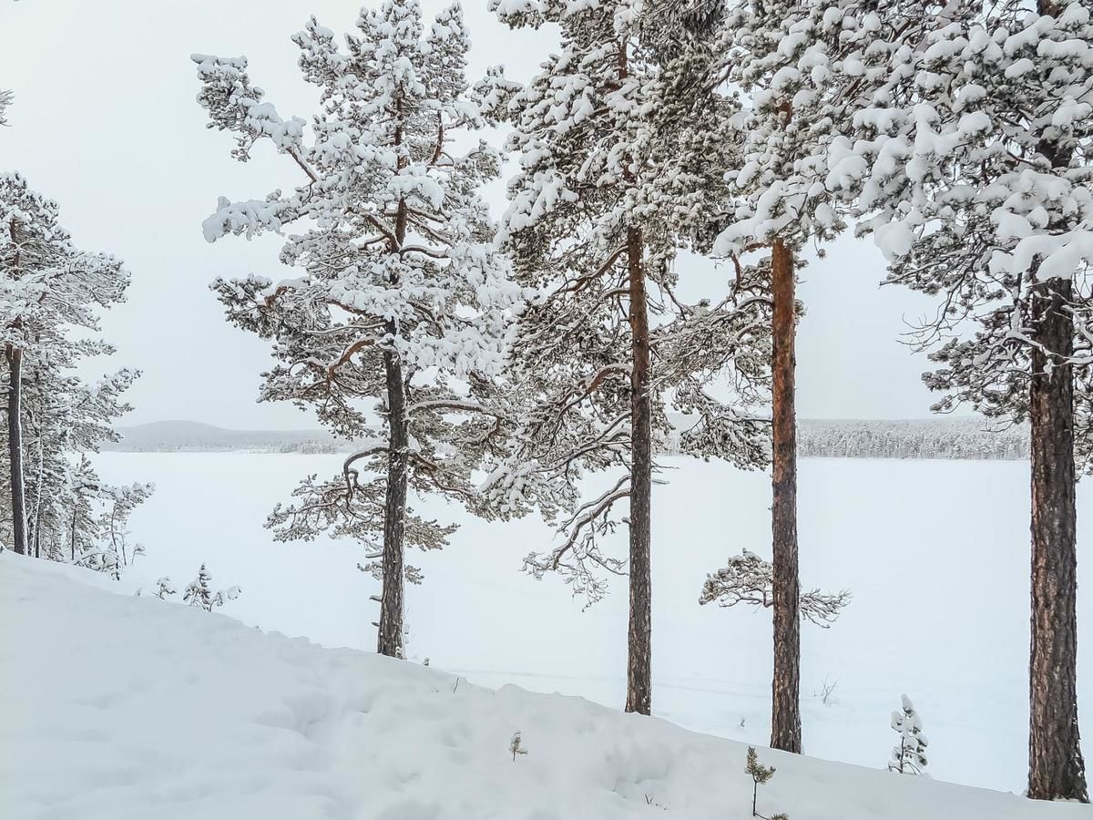 Дома для отпуска Holiday Home Lemmenliekki 3 Lemmenjoki-17